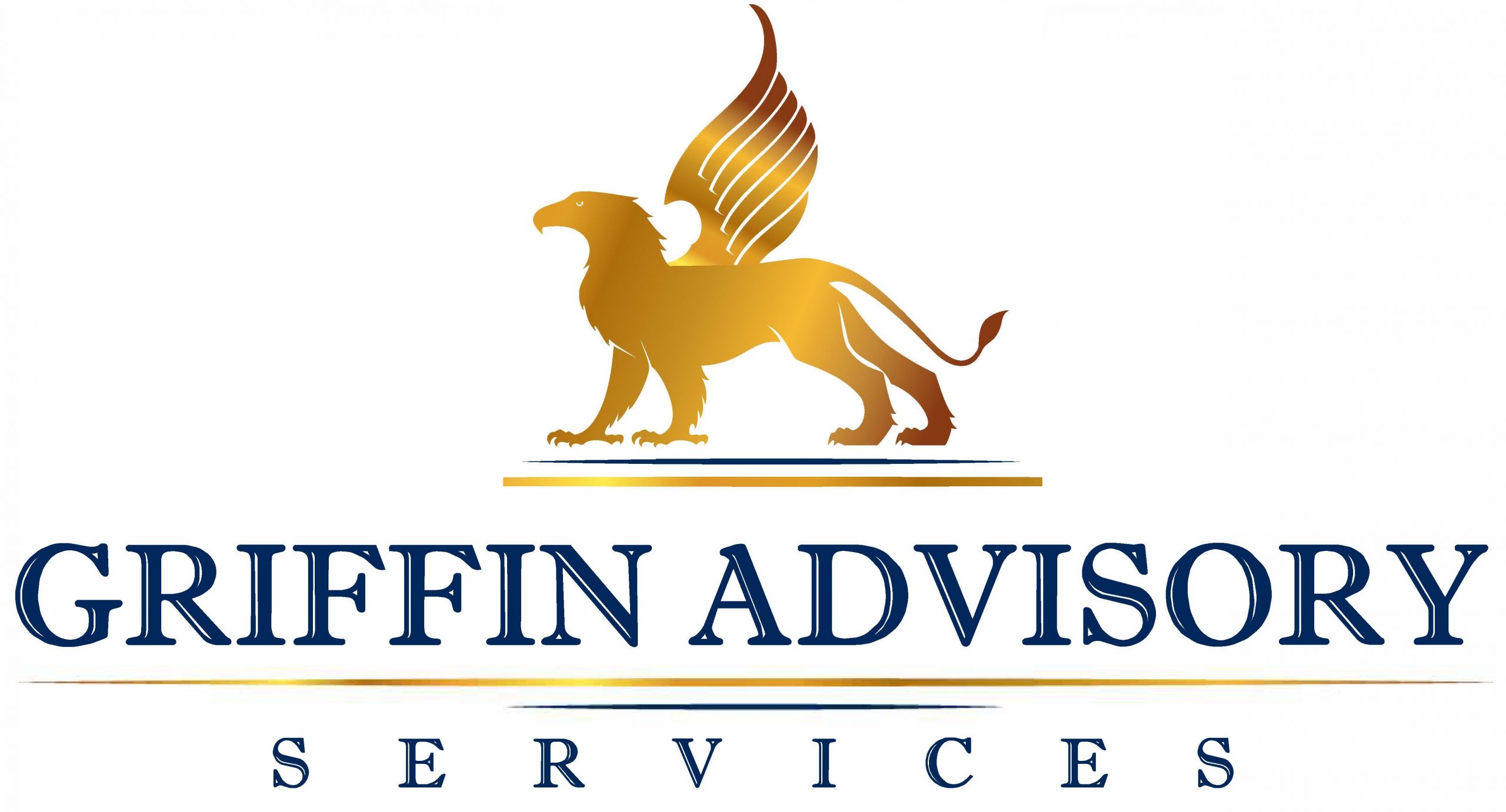 Our Company